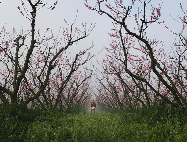 ESRA AKDAĞ — bugünün fotoğrafı. Ayrıntılı betimleme aşağıda.