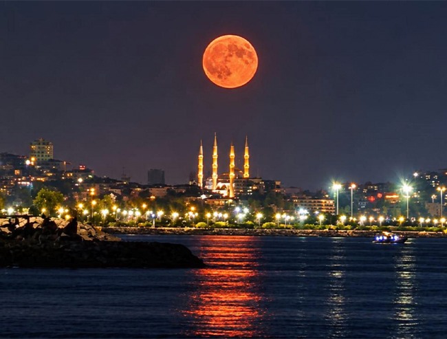NAZLI ERÇELİK ÖZKÖK — bugünün fotoğrafı. Ayrıntılı betimleme aşağıda.
